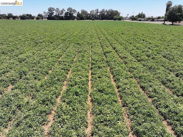 12.5 Acres of Land for Sale in Byron, California
