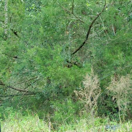 0.31 Acres of Residential Land for Sale in Jacksonville, Florida