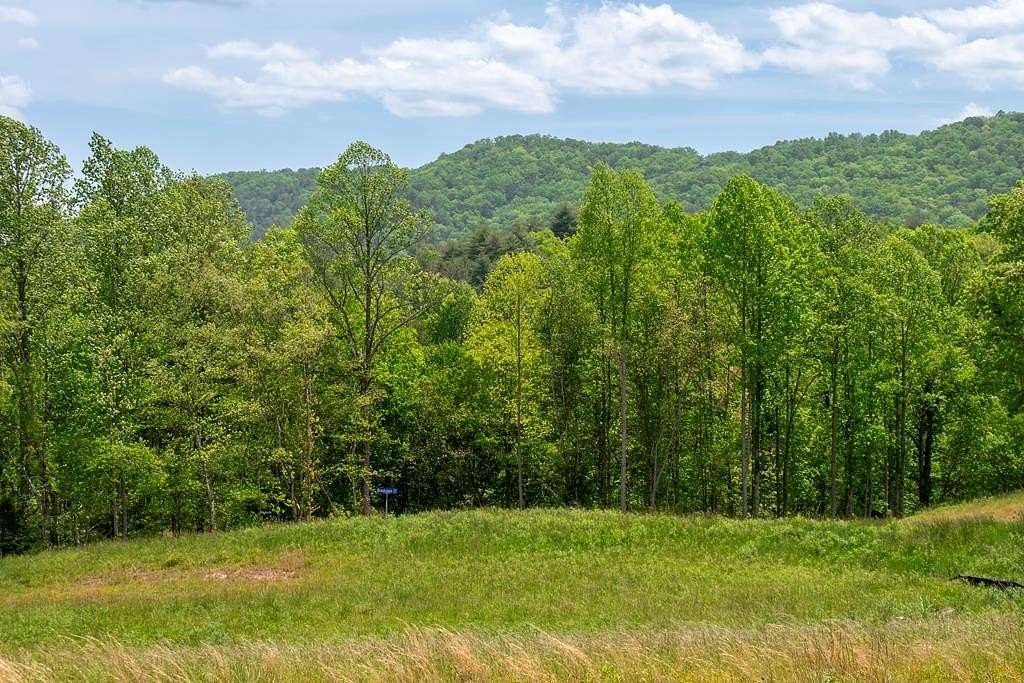 1.5 Acres of Residential Land for Sale in Mineral Bluff, Georgia