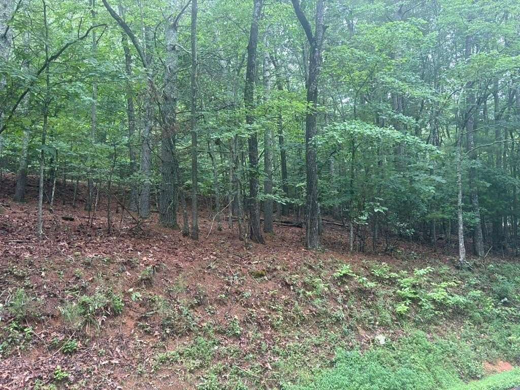 1.3 Acres of Residential Land for Sale in Blairsville, Georgia