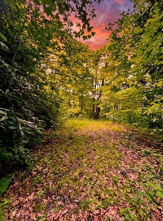 7.66 Acres of Residential Land for Sale in Bryson City, North Carolina