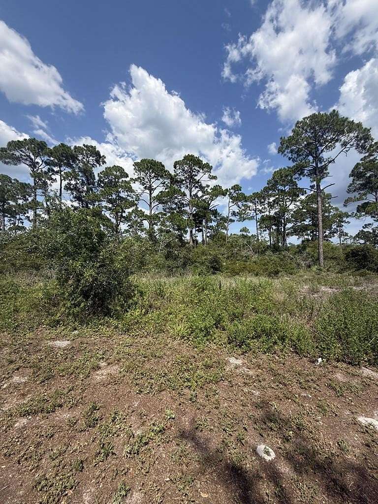 0.23 Acres of Residential Land for Sale in Port St. Joe, Florida