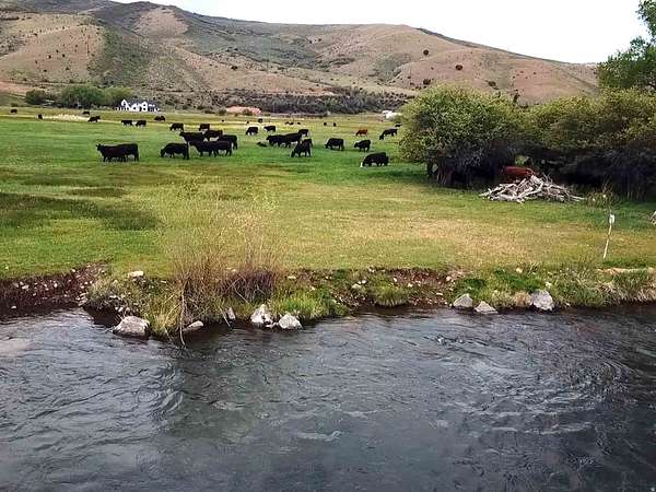 21.5 Acres of Land for Sale in Hoytsville, Utah