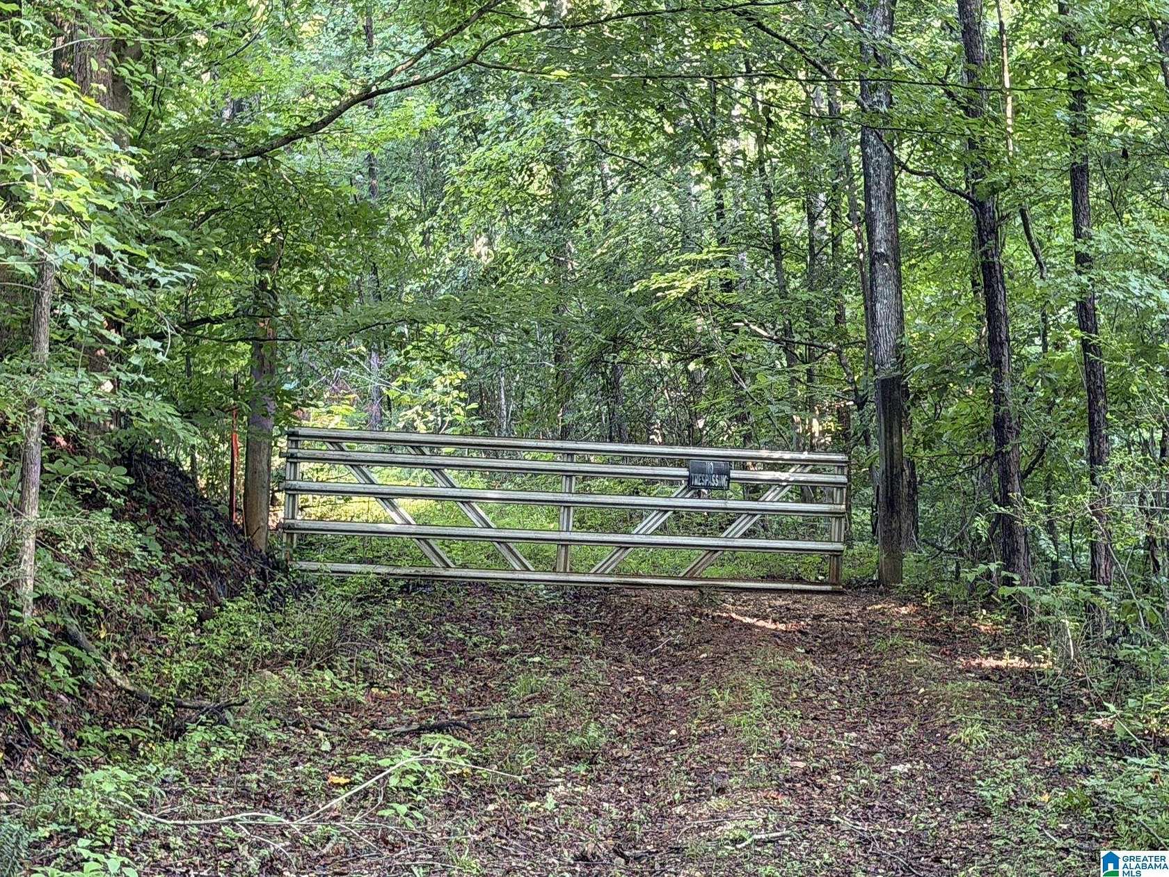 27.5 Acres of Land for Sale in Springville, Alabama