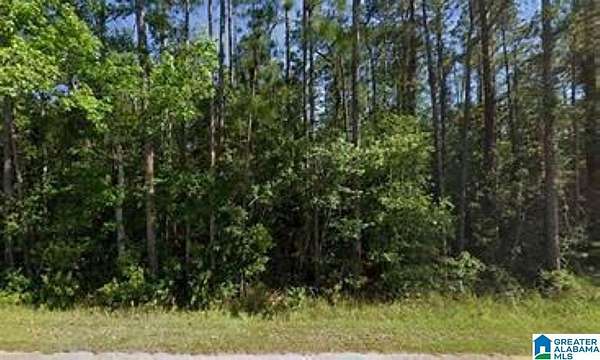 27.5 Acres of Land for Sale in Springville, Alabama