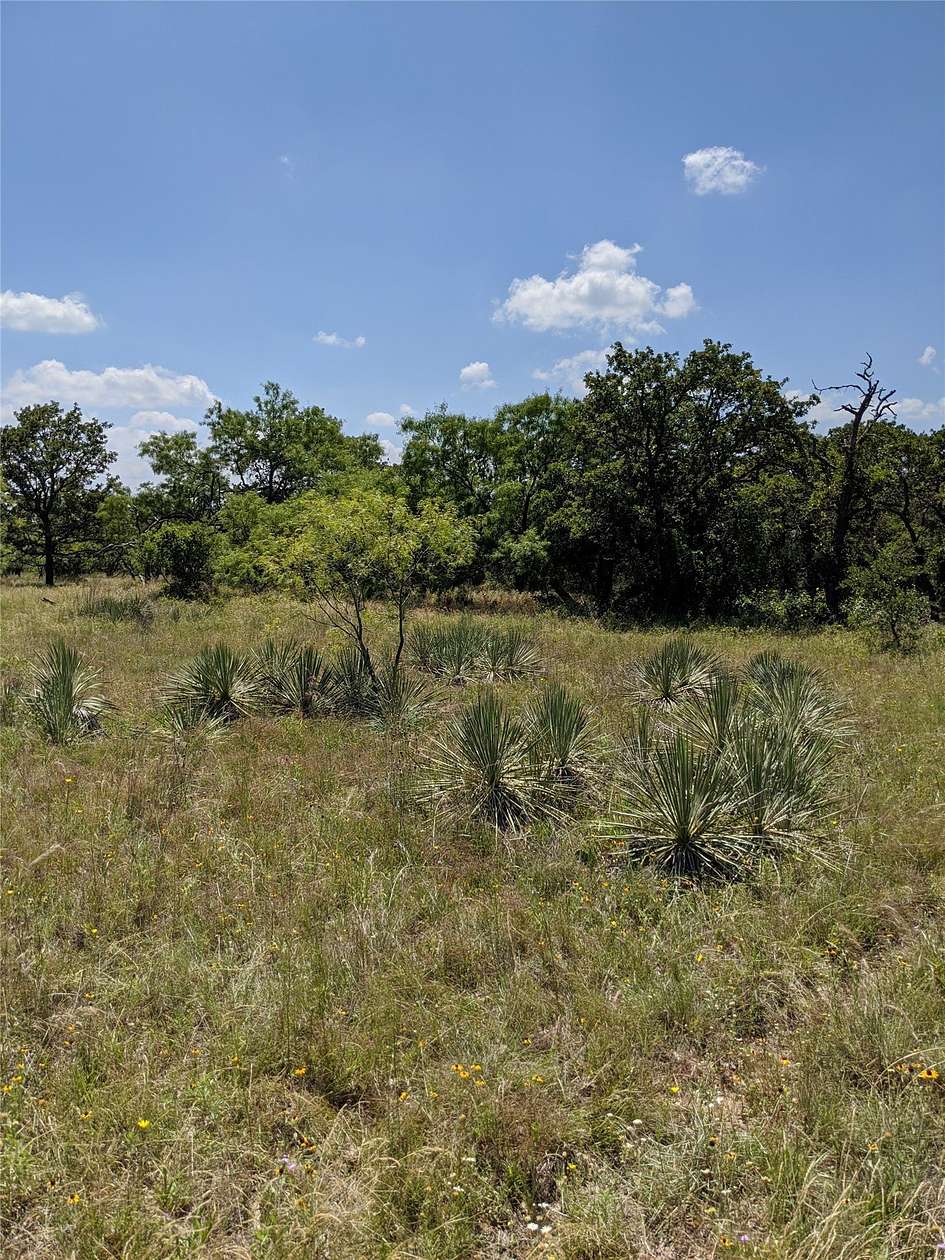 5 Acres of Residential Land for Sale in Rising Star, Texas