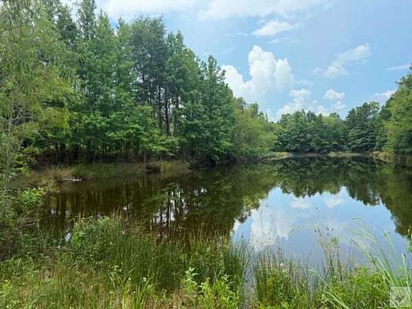 23 Acres of Land for Sale in Hooks, Texas