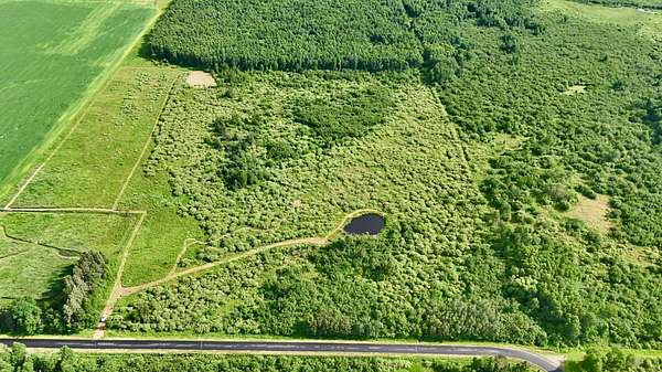 40.4 Acres of Land for Sale in Deerbrook, Wisconsin
