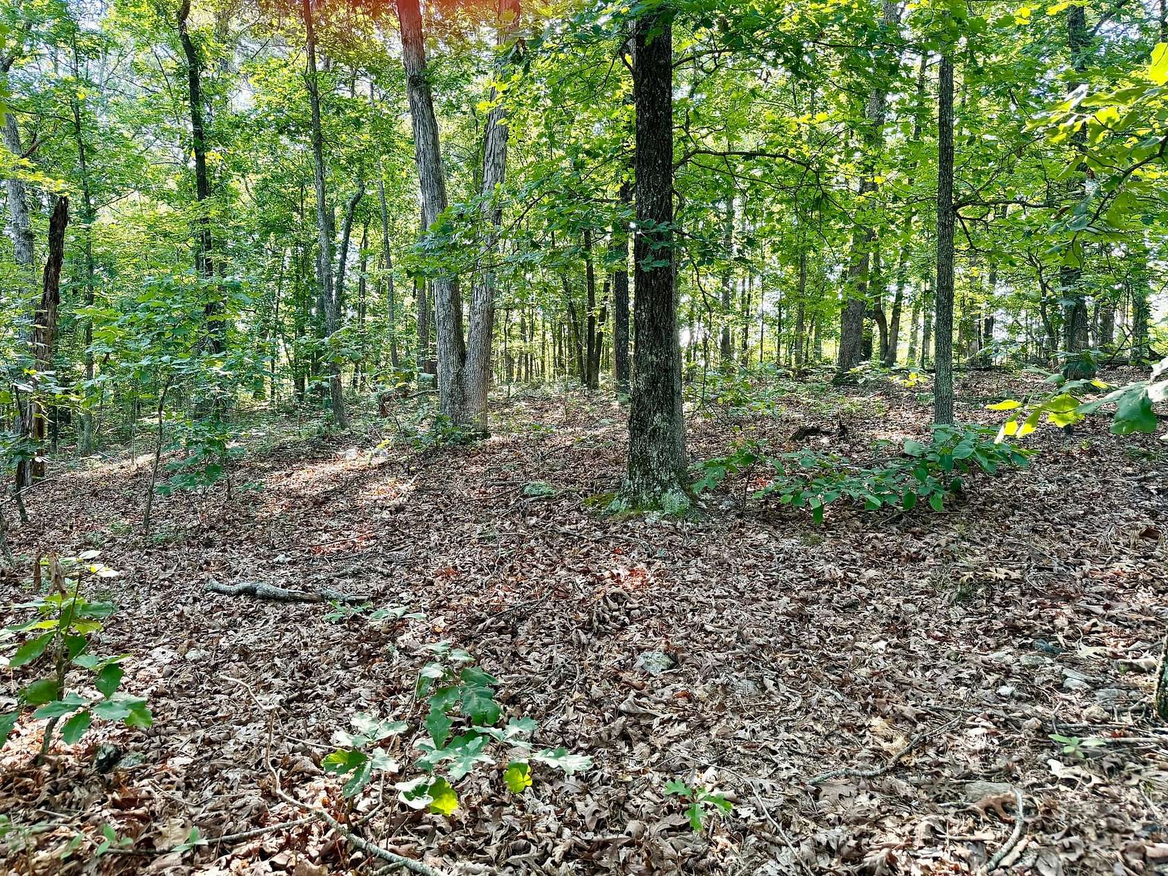 85 Acres of Recreational Land for Sale in Ironton, Missouri