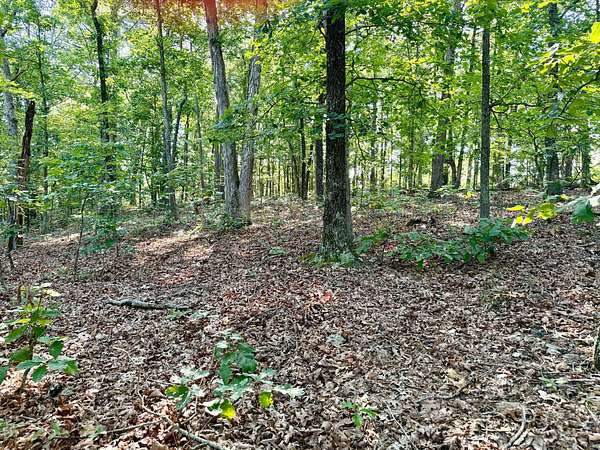 85 Acres of Recreational Land for Sale in Ironton, Missouri