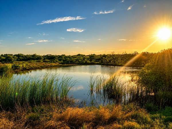 93.7 Acres of Recreational Land for Sale in Nocona, Texas