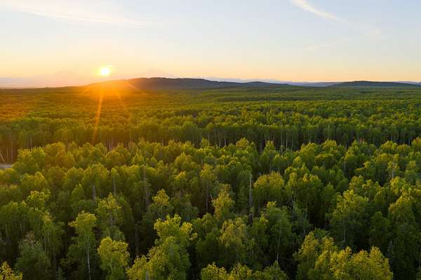 3.62 Acres of Land for Sale in Talkeetna, Alaska