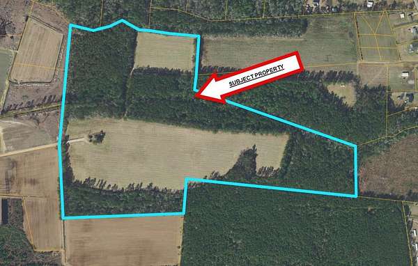 74.2 Acres of Land for Sale in Galivants Ferry, South Carolina