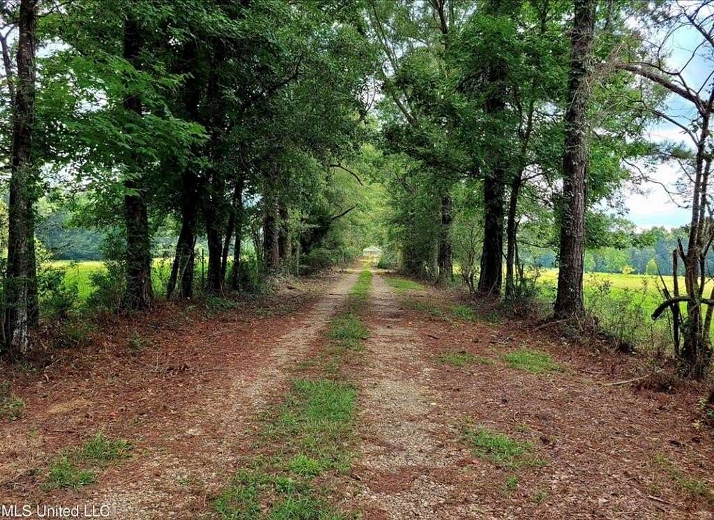 24 Acres of Land with Home for Sale in Poplarville, Mississippi