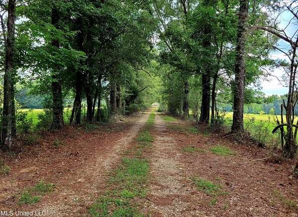 24 Acres of Land with Home for Sale in Poplarville, Mississippi