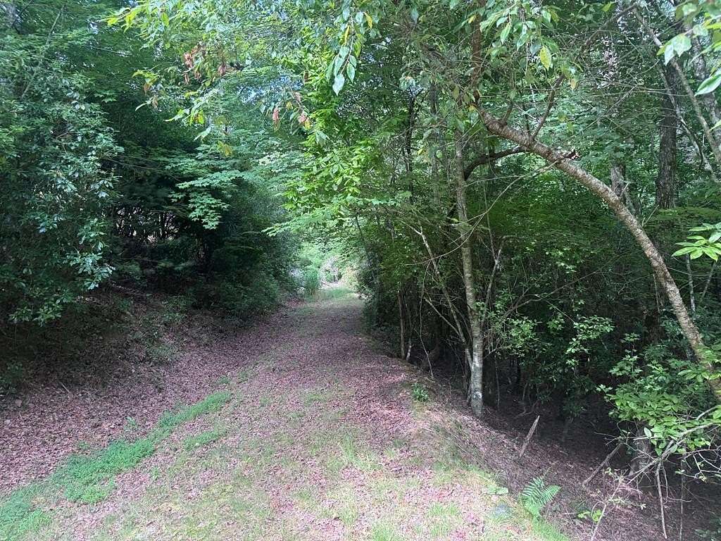 0.9 Acres of Land for Sale in Brasstown, North Carolina