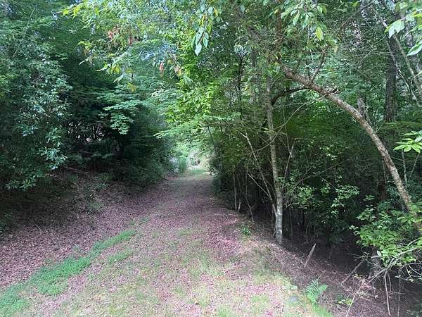 0.9 Acres of Land for Sale in Brasstown, North Carolina