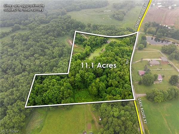 11 Acres of Recreational Land for Auction in Dundee, Ohio