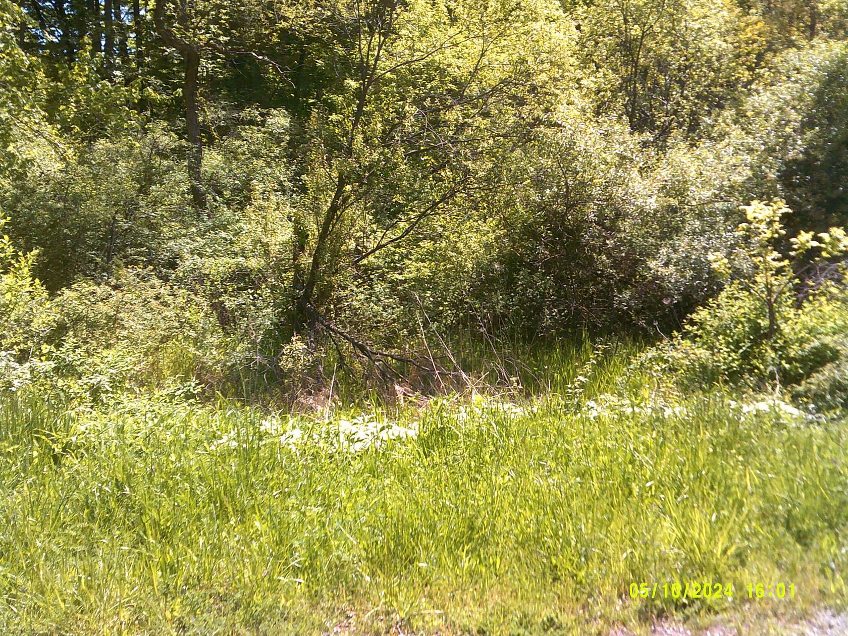 0.37 Acres of Land for Sale in Coloma, Michigan