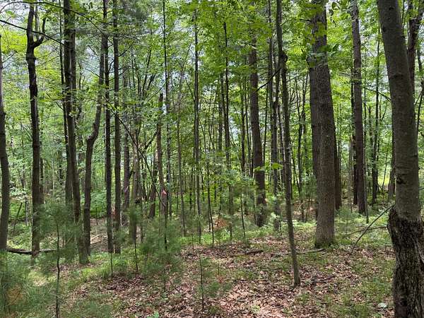 1 Acre of Residential Land for Sale in Siren, Wisconsin