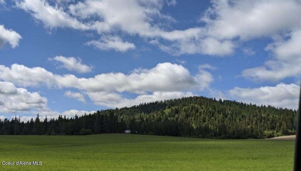 20 Acres of Recreational & Residential Land for Sale in Plummer, Idaho