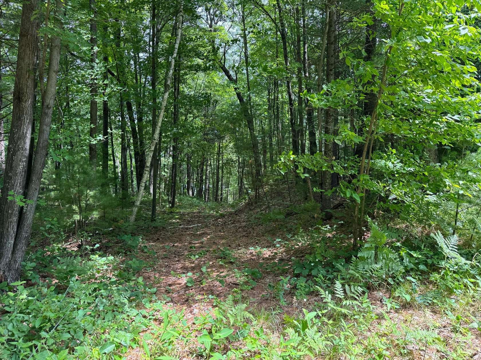 1 Acre of Residential Land for Sale in Siren, Wisconsin