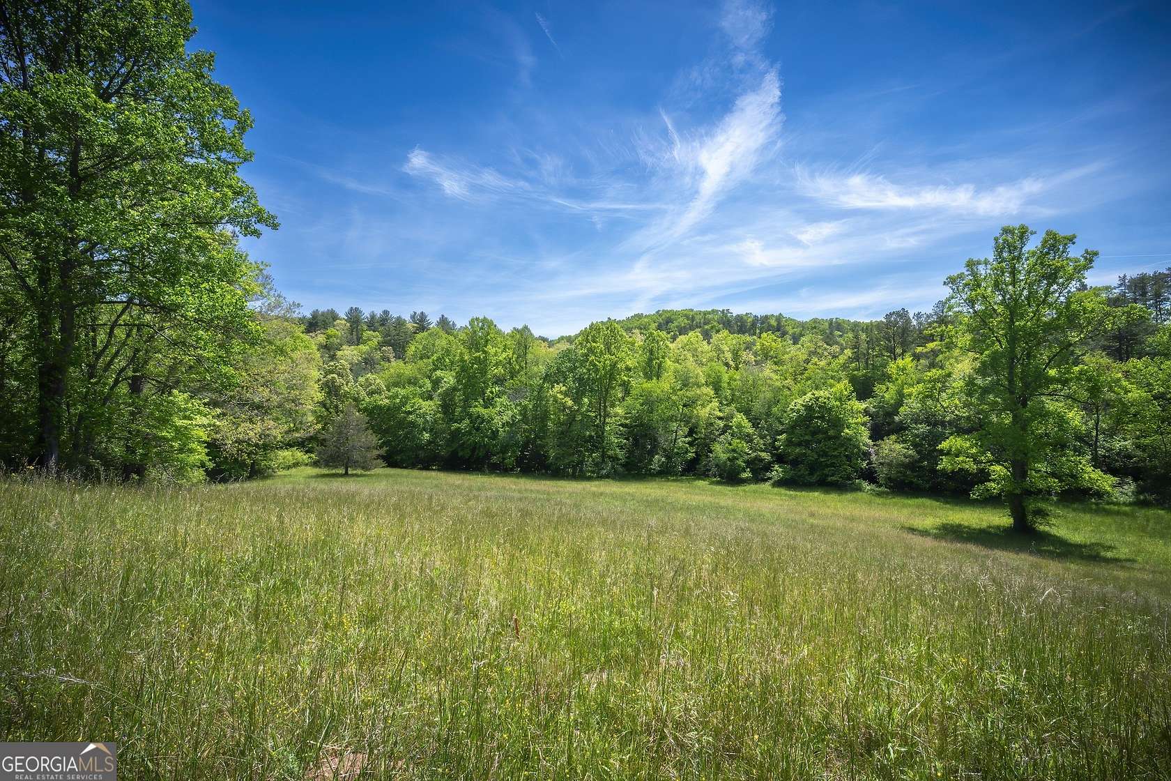 2 Acres of Residential Land for Sale in Mineral Bluff, Georgia