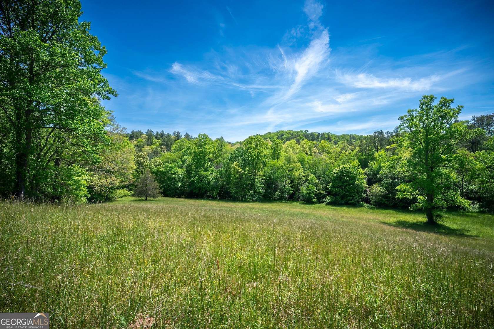 2 Acres of Residential Land for Sale in Mineral Bluff, Georgia