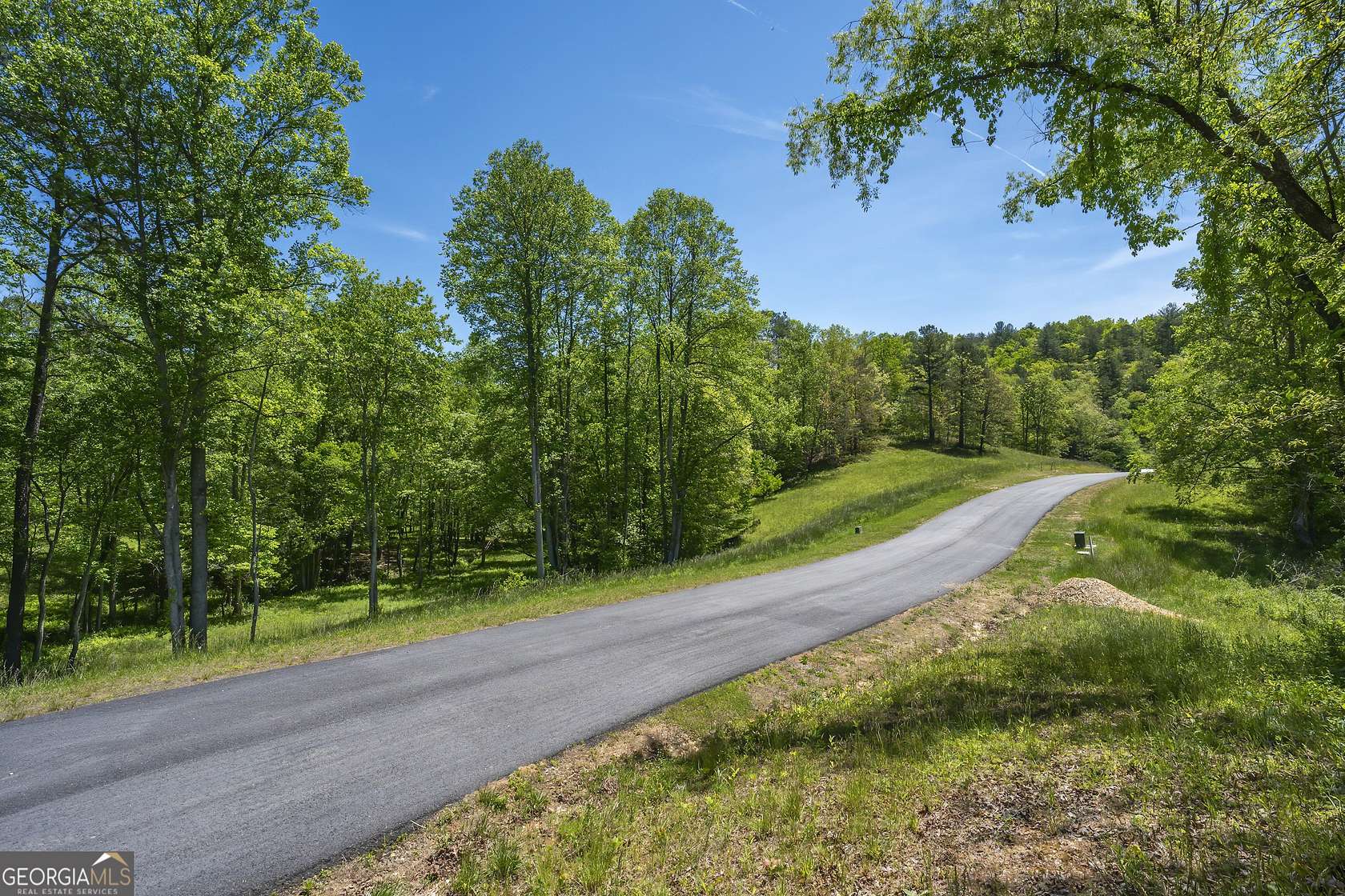 1 Acre of Residential Land for Sale in Mineral Bluff, Georgia
