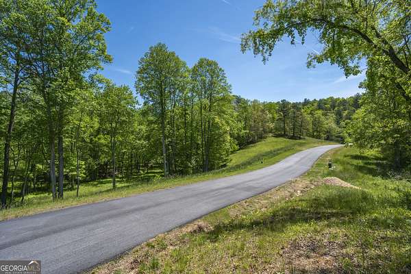 1 Acre of Residential Land for Sale in Mineral Bluff, Georgia