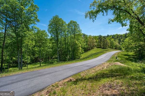 1 Acre of Residential Land for Sale in Mineral Bluff, Georgia