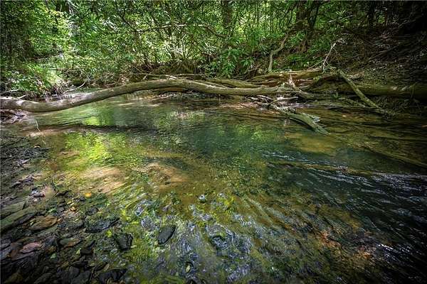 3 Acres of Residential Land for Sale in Mineral Bluff, Georgia