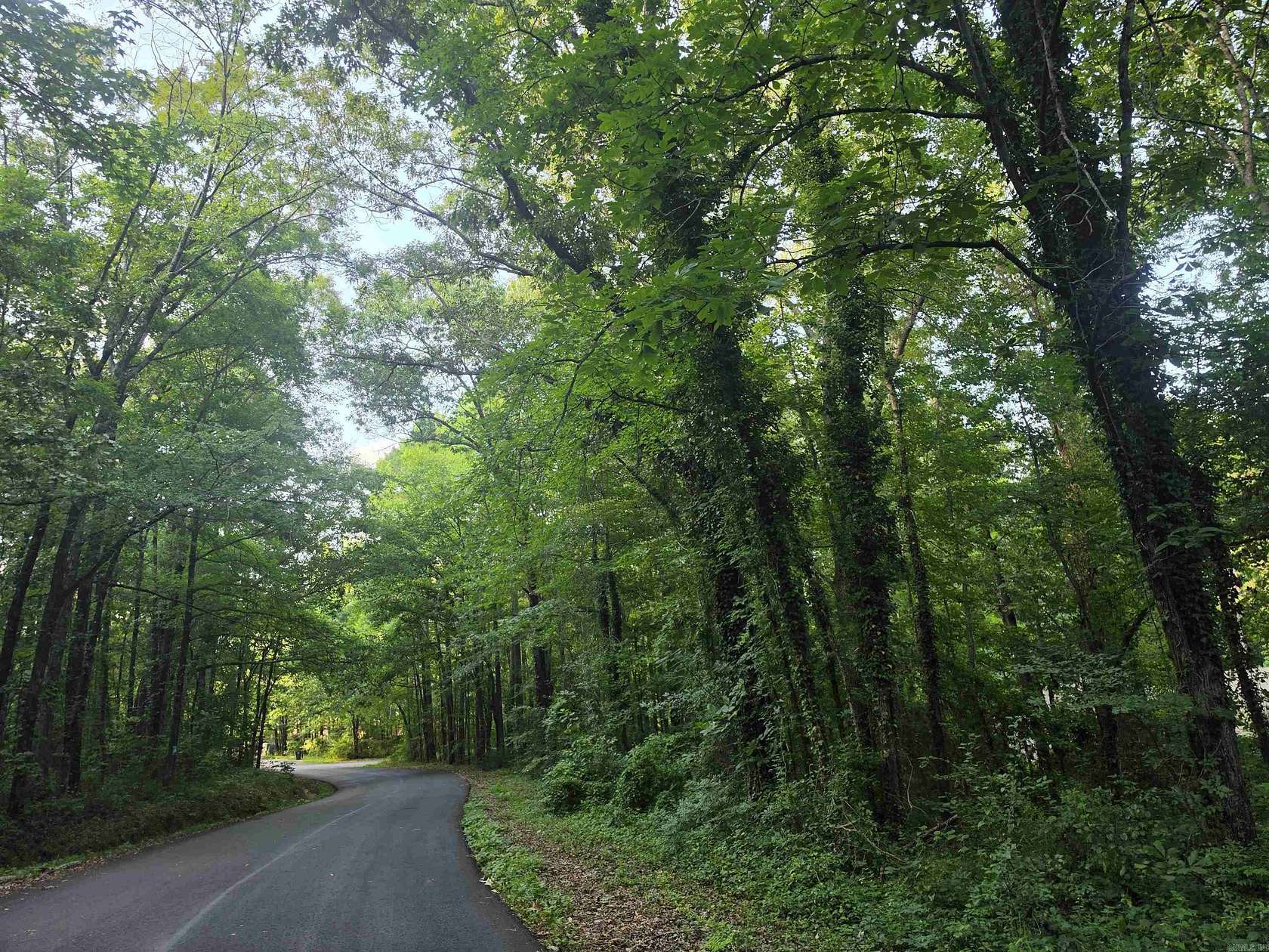 0.35 Acres of Land for Sale in Royal, Arkansas