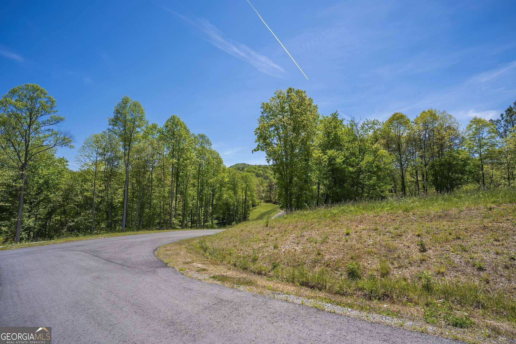 1 Acre of Residential Land for Sale in Mineral Bluff, Georgia