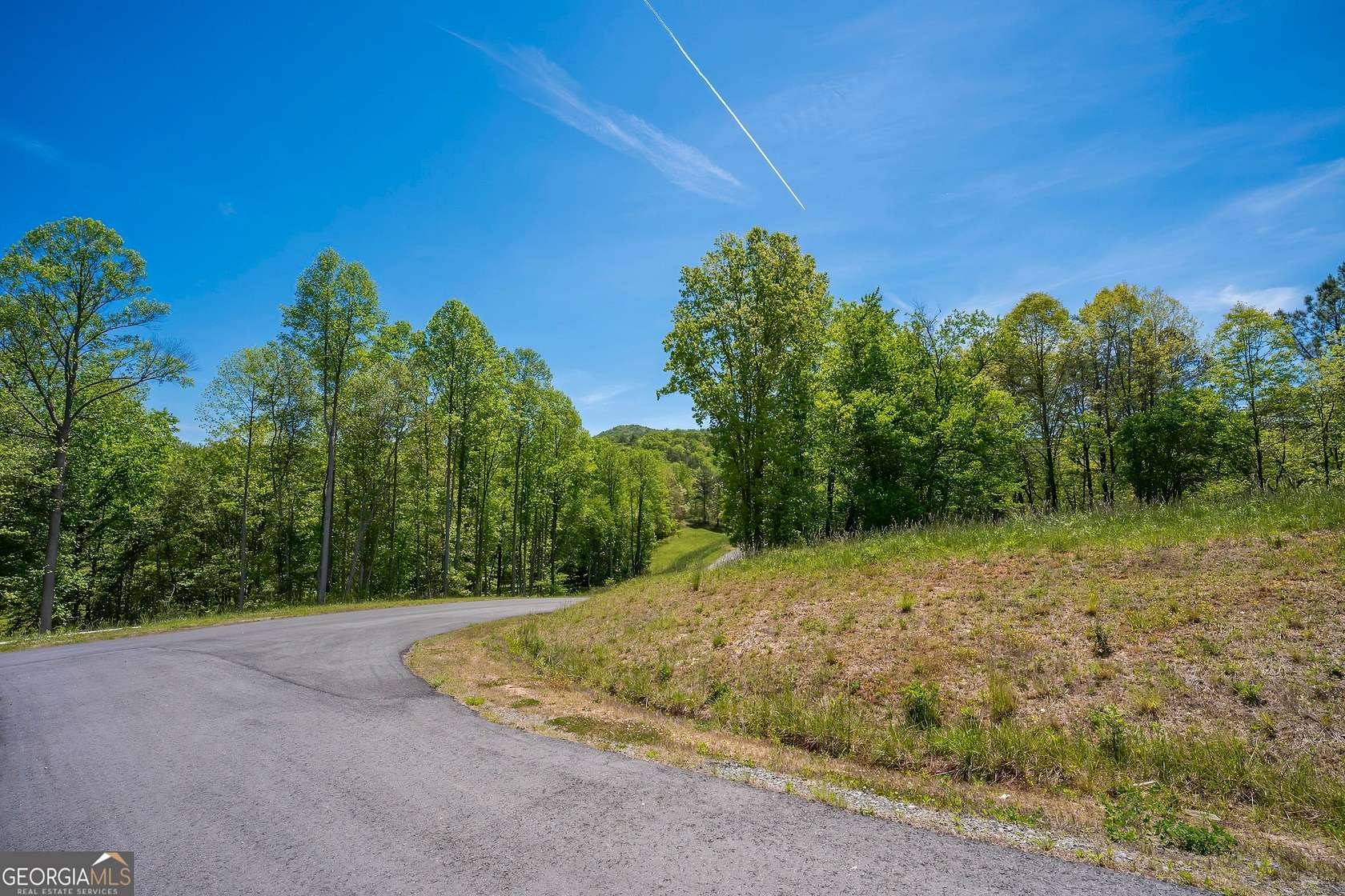 1 Acre of Residential Land for Sale in Mineral Bluff, Georgia