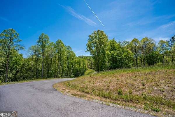 1 Acre of Residential Land for Sale in Mineral Bluff, Georgia