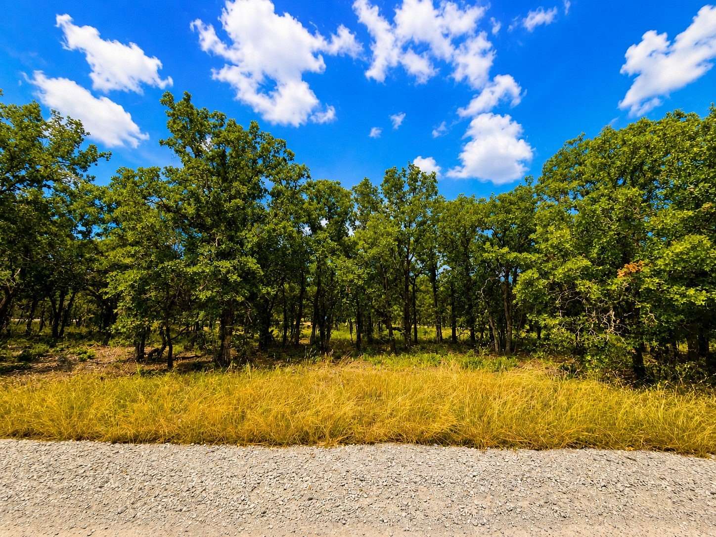 0.99 Acres of Commercial Land for Sale in Bridgeport, Texas