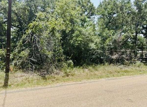 0.35 Acres of Residential Land for Sale in Mabank, Texas