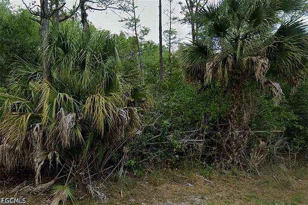 0.25 Acres of Residential Land for Sale in Lehigh Acres, Florida