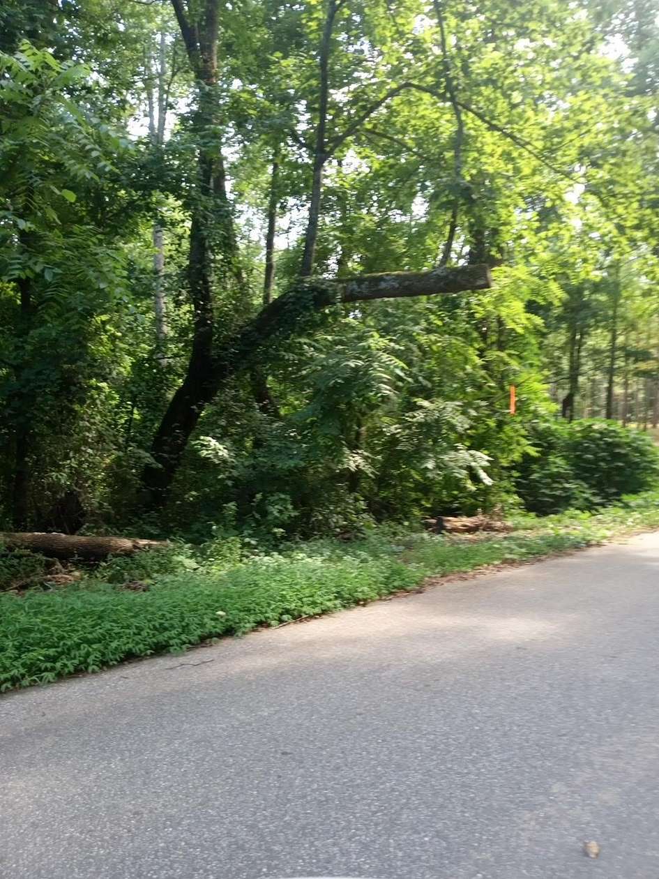 9.65 Acres of Residential Land for Sale in Campobello, South Carolina