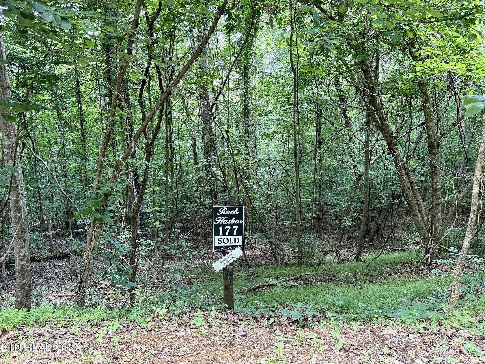 5.16 Acres of Residential Land for Sale in New Tazewell, Tennessee