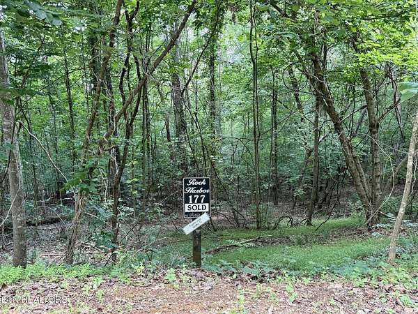 5.16 Acres of Residential Land for Sale in New Tazewell, Tennessee
