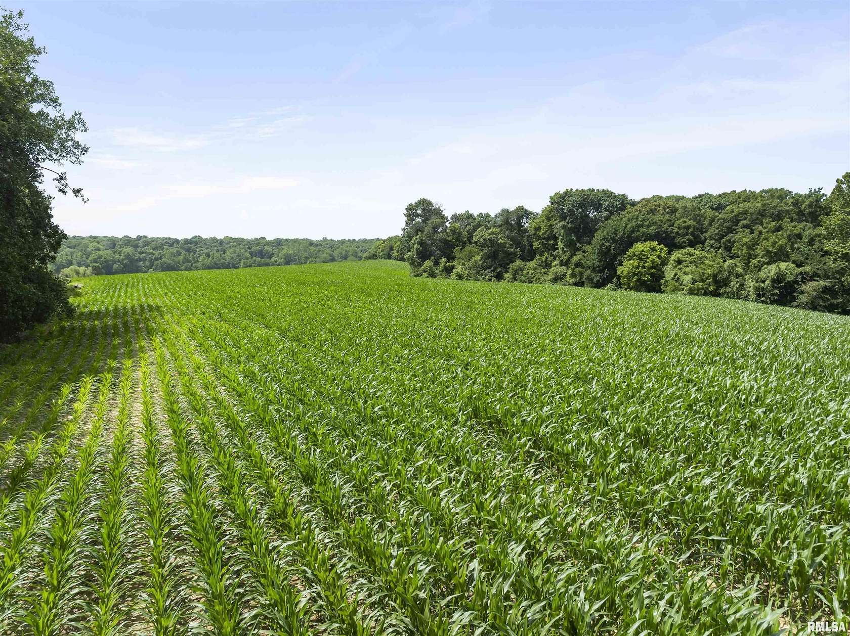 30 Acres of Land for Sale in Lewistown, Illinois