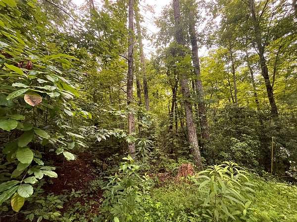 1.24 Acres of Residential Land for Sale in Ellijay, Georgia