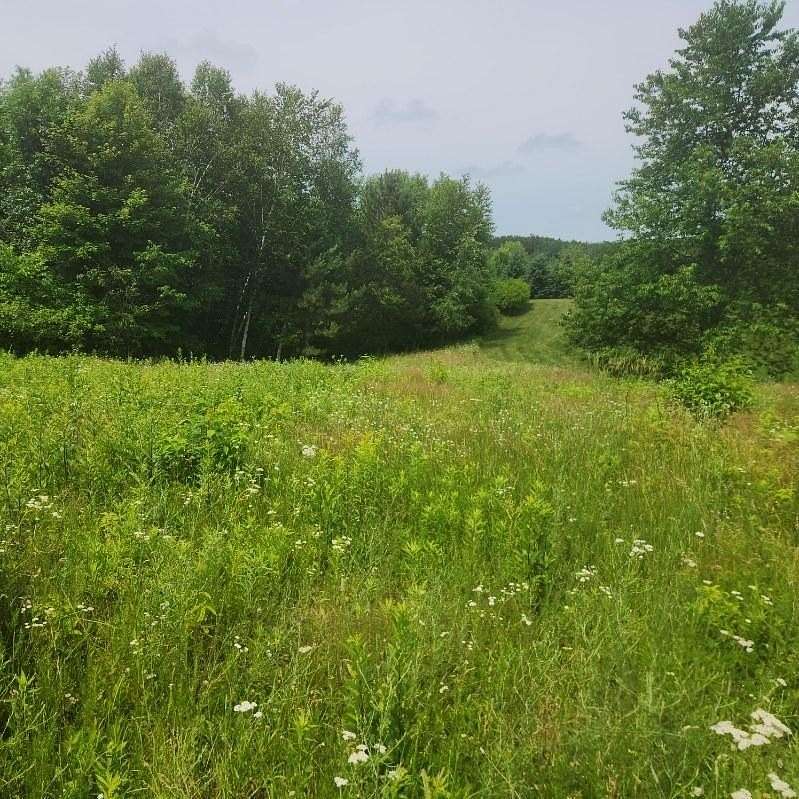 1.74 Acres of Residential Land for Sale in Somerset, Wisconsin