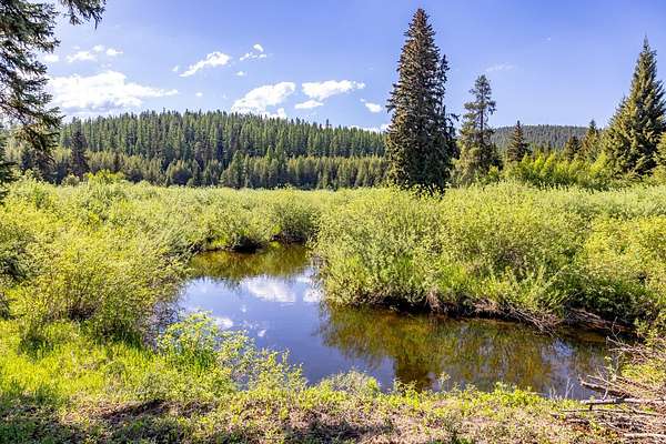 22 Acres of Land for Sale in Trego, Montana