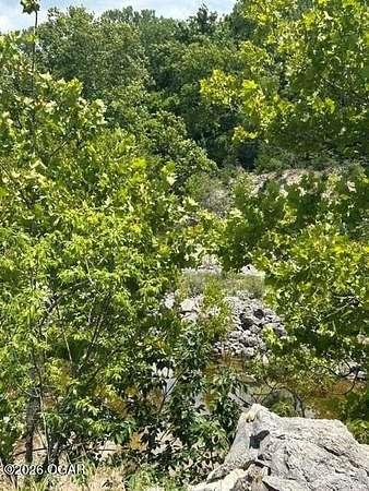 78 Acres of Land for Sale in Joplin, Missouri