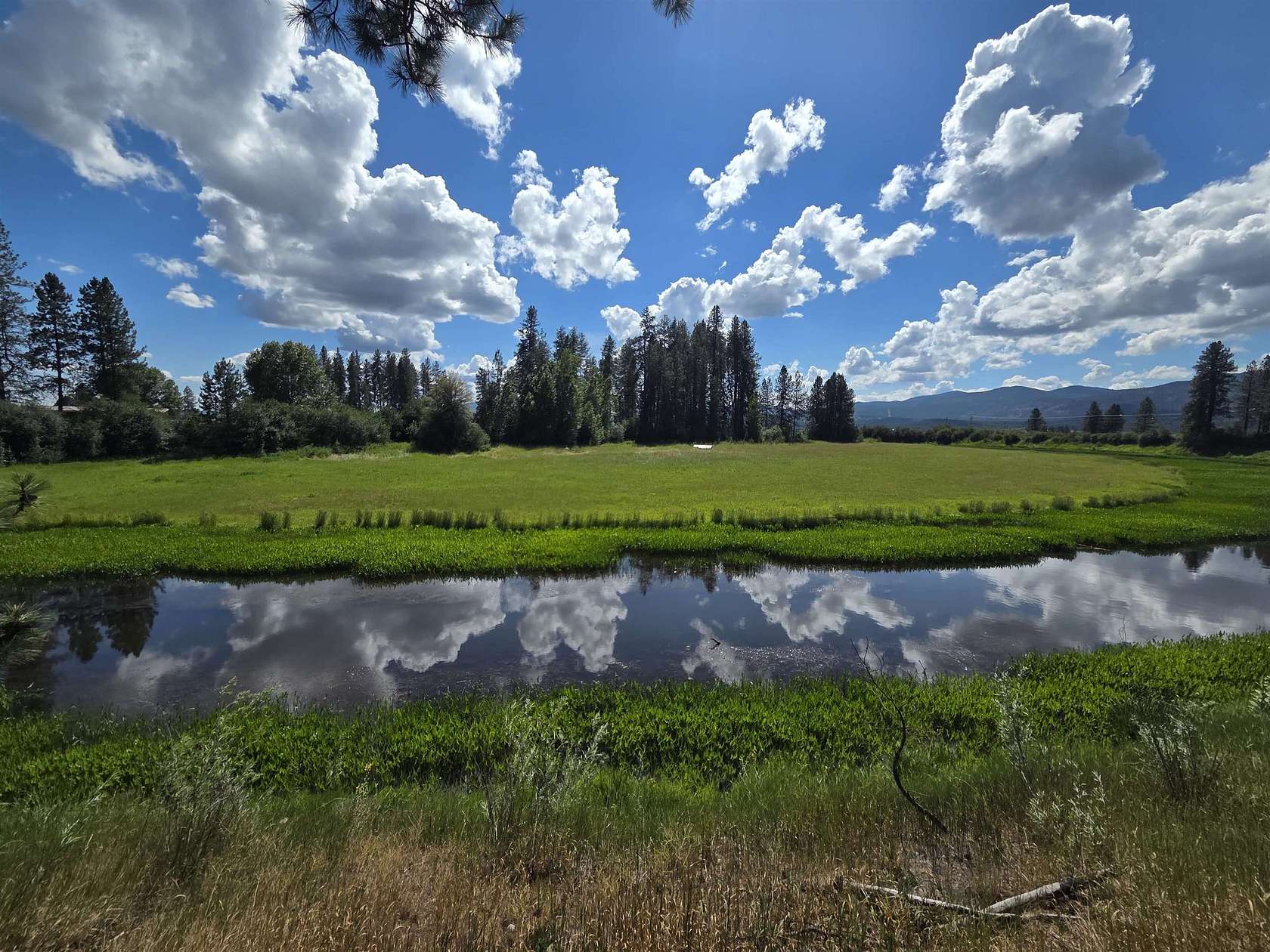 4.77 Acres of Land for Sale in Cusick, Washington
