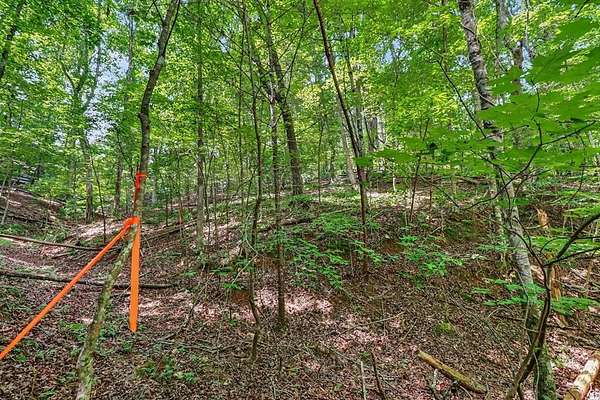 0.82 Acres of Residential Land for Sale in Ellijay, Georgia