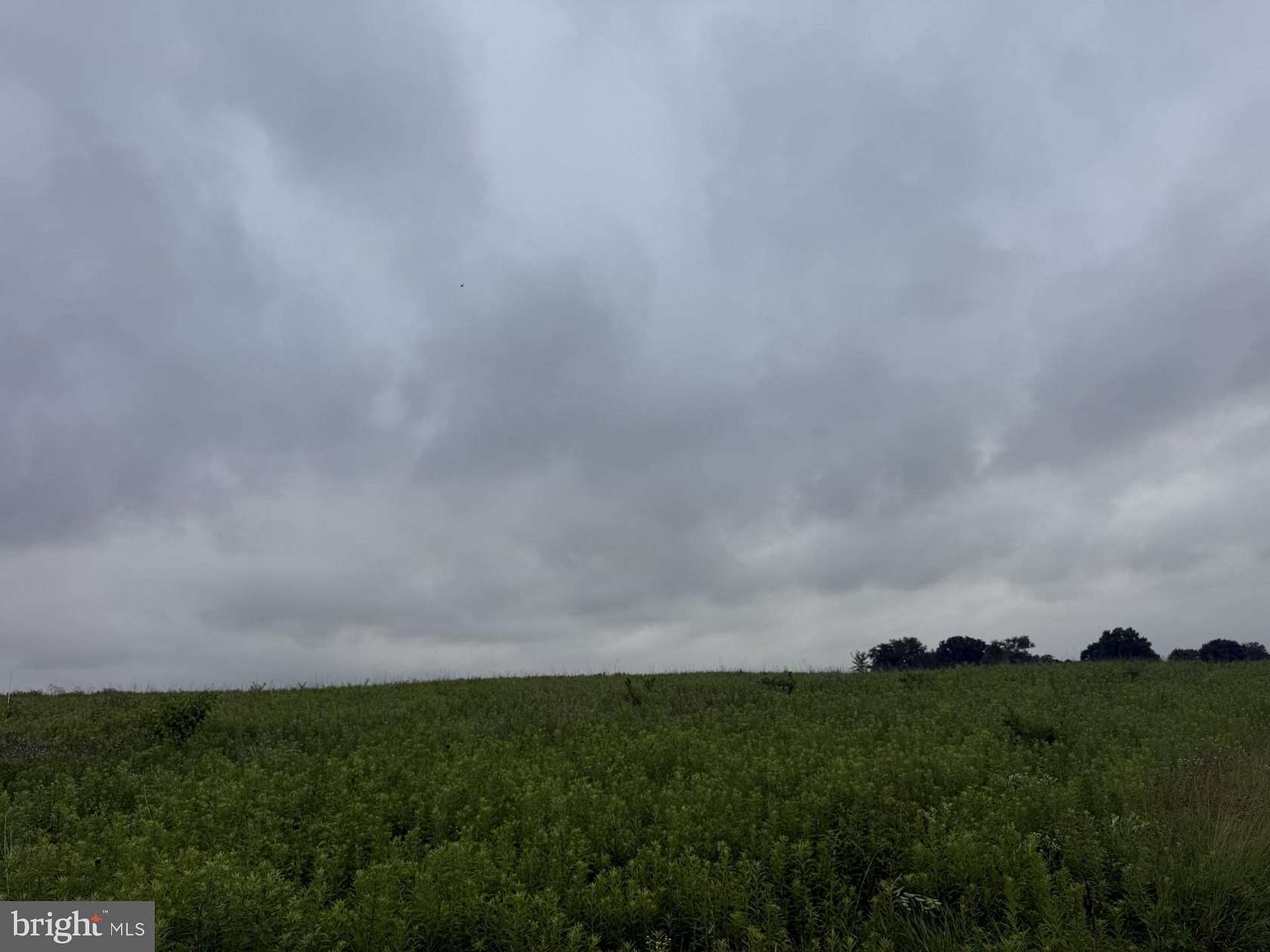 14.4 Acres of Recreational & Residential Land for Sale in Wellsville, Pennsylvania